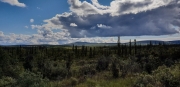 jernst-20180810-117548.jpg