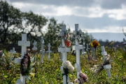 jernst-20180816-116857.jpg