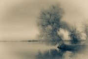6jernst-20151101-88795-b.jpg