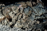 jernst-20170829-108265.jpg