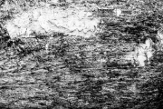 5jernst-20170219-106299-b.jpg