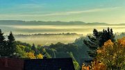 IMG_8764