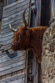 16jernst-20130829-58125.jpg