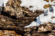 11jernst_20130323_1485.jpg