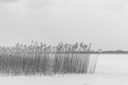 12jernst_20130328_0949.jpg