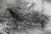 18jernst_20130328_0938.jpg