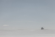 19jernst_20130324_1246.jpg