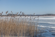 20jernst_20130323_1403.jpg
