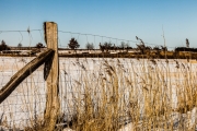 4jernst_20130323_1455.jpg