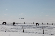 6jernst_20130324_1230.jpg