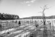 8jernst_20130326_1136.jpg