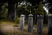 4jernst-20130804-56387-b.jpg