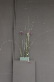 1jernst_20130505_4434.jpg
