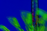 7jernst-20140607-68791.jpg