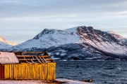 1jernst-20140201-65356-b.jpg